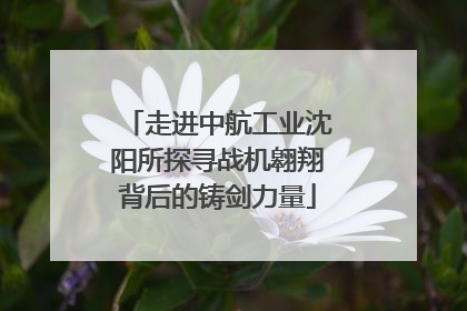 走进中航工业沈阳所探寻战机翱翔背后的铸剑力量