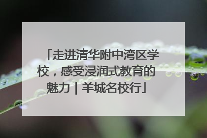 走进清华附中湾区学校，感受浸润式教育的魅力｜羊城名校行