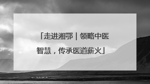 走进湘鄂｜领略中医智慧，传承医道薪火