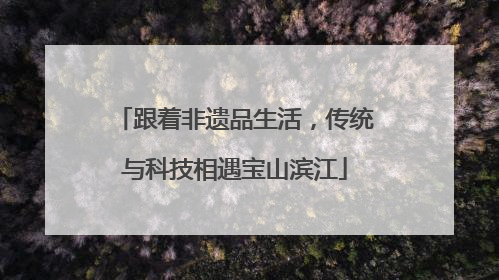 跟着非遗品生活，传统与科技相遇宝山滨江