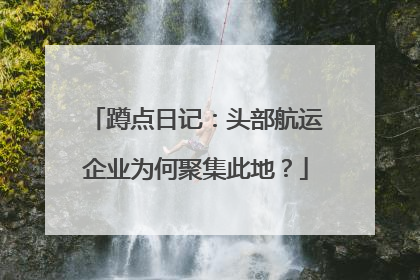蹲点日记：头部航运企业为何聚集此地？