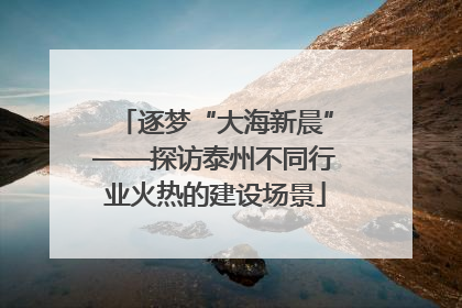 逐梦“大海新晨”——探访泰州不同行业火热的建设场景