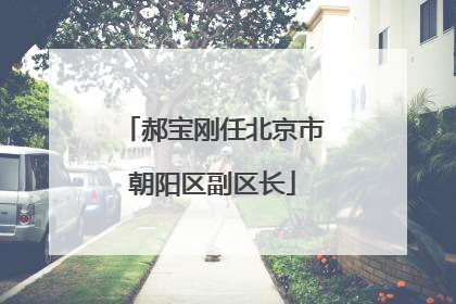 郝宝刚任北京市朝阳区副区长