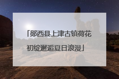 郧西县上津古镇荷花初绽邂逅夏日浪漫