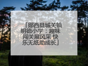 郧西县城关镇明德小学：趣味闯关展风采 快乐无纸助成长
