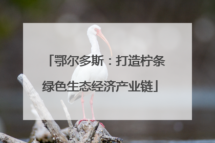 鄂尔多斯：打造柠条绿色生态经济产业链