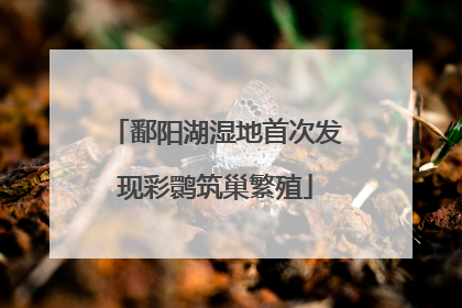 鄱阳湖湿地首次发现彩鹮筑巢繁殖