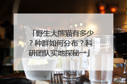 野生大熊猫有多少？种群如何分布？科研团队实地探秘→