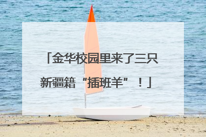 金华校园里来了三只新疆籍“插班羊”！