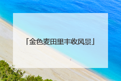 金色麦田里丰收风景