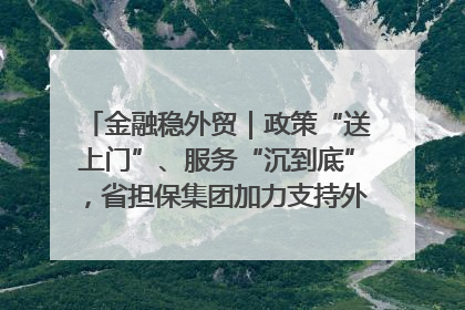 金融稳外贸｜政策“送上门”、服务“沉到底”，省担保集团加力支持外经贸高质量发展