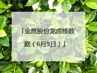 金鹰股份龙虎榜数据（6月9日）
