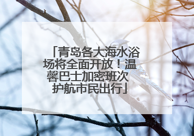 青岛各大海水浴场将全面开放！温馨巴士加密班次 护航市民出行