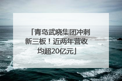青岛武晓集团冲刺新三板！近两年营收均超20亿元