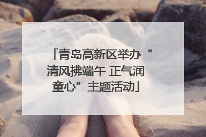 青岛高新区举办“清风拂端午 正气润童心”主题活动