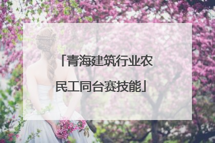 青海建筑行业农民工同台赛技能
