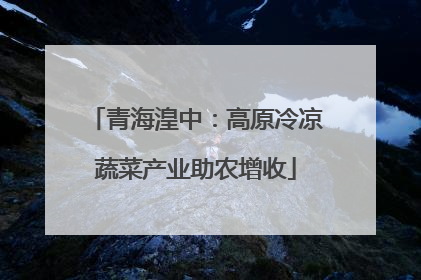 青海湟中：高原冷凉蔬菜产业助农增收
