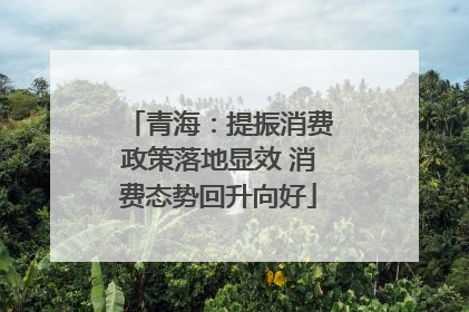 青海：提振消费政策落地显效 消费态势回升向好