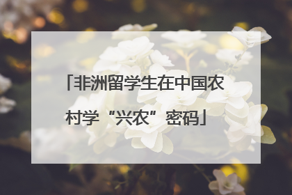 非洲留学生在中国农村学“兴农”密码