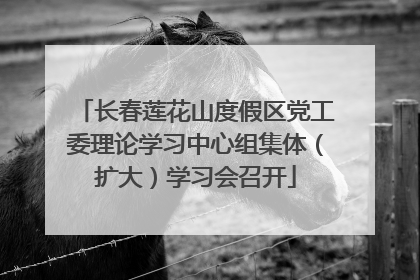 长春莲花山度假区党工委理论学习中心组集体（扩大）学习会召开