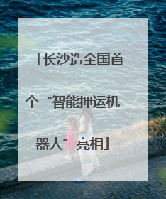 长沙造全国首个“智能押运机器人”亮相