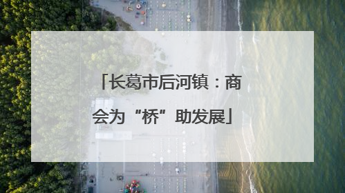 长葛市后河镇：商会为“桥”助发展