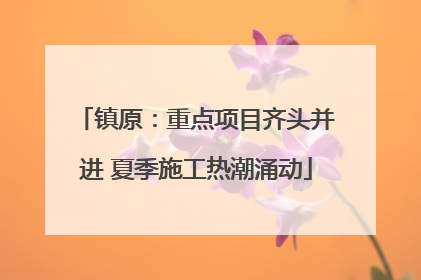 镇原：重点项目齐头并进 夏季施工热潮涌动