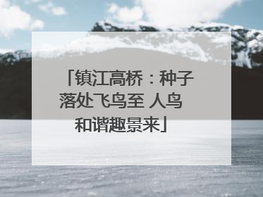 镇江高桥：种子落处飞鸟至 人鸟和谐趣景来
