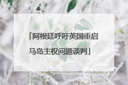 阿根廷呼吁英国重启马岛主权问题谈判
