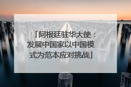 阿根廷驻华大使：发展中国家以中国模式为范本应对挑战