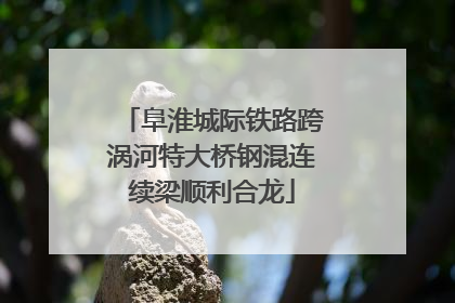 阜淮城际铁路跨涡河特大桥钢混连续梁顺利合龙
