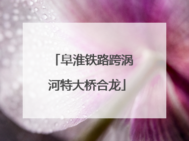 阜淮铁路跨涡河特大桥合龙