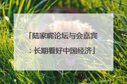 陆家嘴论坛与会嘉宾：长期看好中国经济
