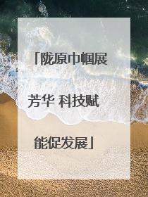陇原巾帼展芳华 科技赋能促发展