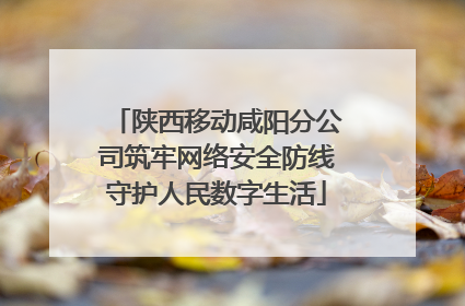 陕西移动咸阳分公司筑牢网络安全防线守护人民数字生活