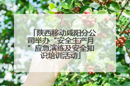 陕西移动咸阳分公司举办“安全生产月”应急演练及安全知识培训活动