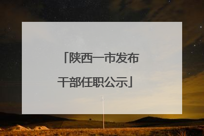 陕西一市发布干部任职公示