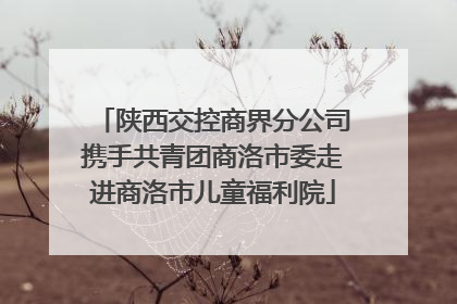 陕西交控商界分公司携手共青团商洛市委走进商洛市儿童福利院