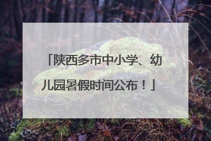 陕西多市中小学、幼儿园暑假时间公布！