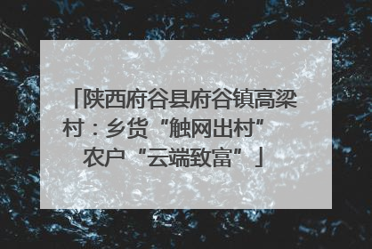 陕西府谷县府谷镇高梁村：乡货“触网出村” 农户“云端致富”