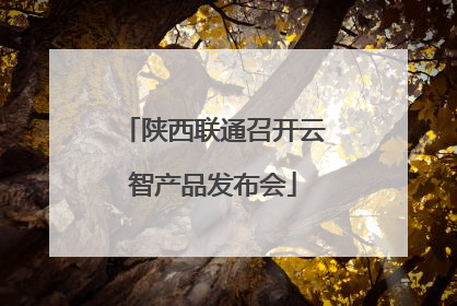 陕西联通召开云智产品发布会