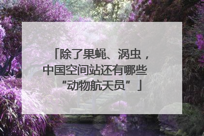 除了果蝇、涡虫，中国空间站还有哪些“动物航天员”