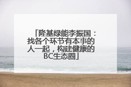 隆基绿能李振国：找各个环节有本事的人一起，构建健康的BC生态圈