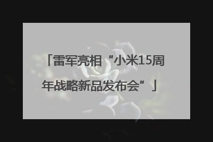 雷军亮相“小米15周年战略新品发布会”