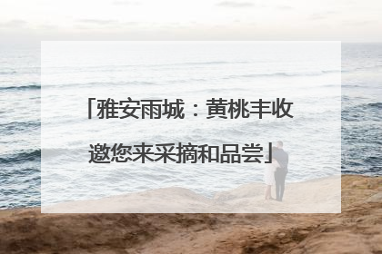 雅安雨城：黄桃丰收 邀您来采摘和品尝