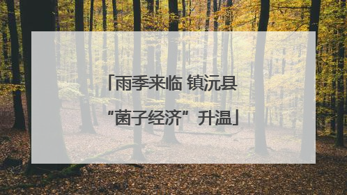 雨季来临 镇沅县“菌子经济”升温