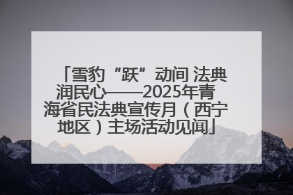 雪豹“跃”动间 法典润民心——2025年青海省民法典宣传月（西宁地区）主场活动见闻