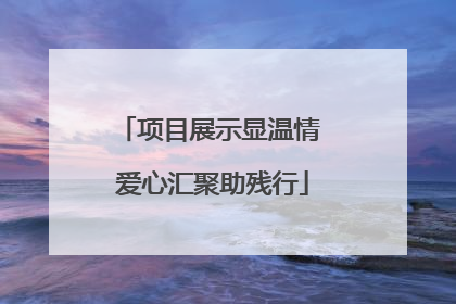 项目展示显温情 爱心汇聚助残行