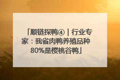 顺链探鸭④｜行业专家：我省肉鸭养殖品种80%是樱桃谷鸭