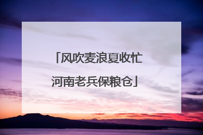 风吹麦浪夏收忙 河南老兵保粮仓